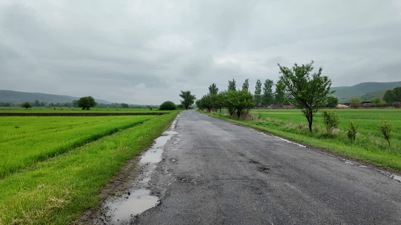 평화로운 여행: 푸른 시골 길을 가는 차