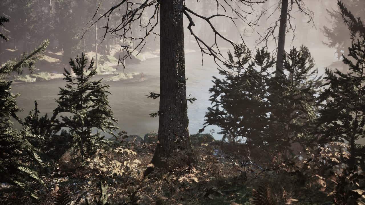 escena de un río de bosque brumoso