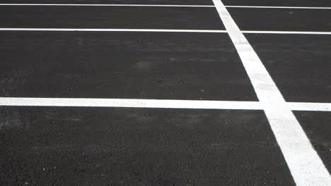 los puestos de estacionamiento en un estacionamiento, marcados con líneas blancas