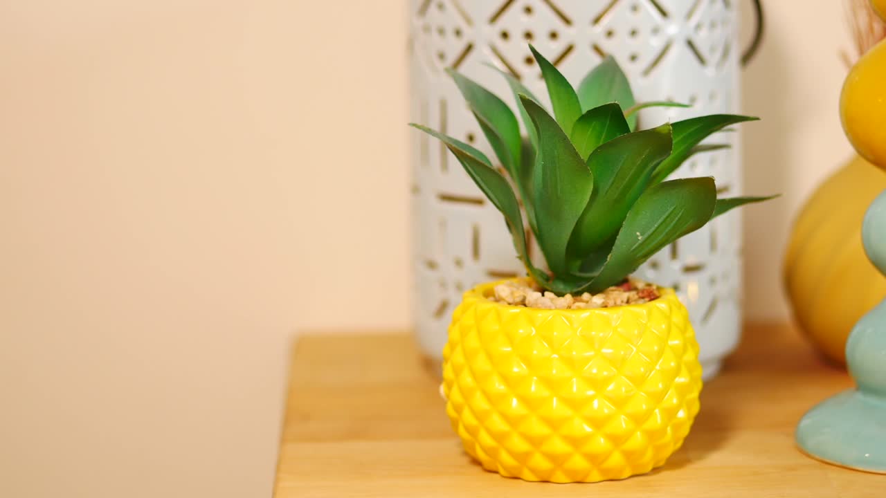 Stylish Home Decor Display