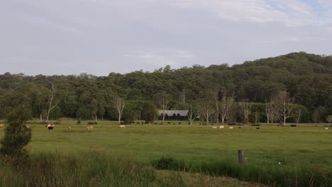 time-lapse of a peaceful rural field and forest.