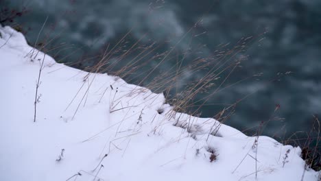 Hierba-Seca-En-La-Nieve-Con-Un-Río-Que-Fluye-En-Un-Fondo-Borroso