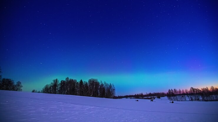 аврора бореалис в небе над белым снежным пейзажем с деревьями