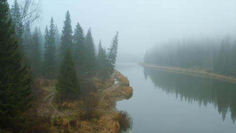 misty forest river landscape