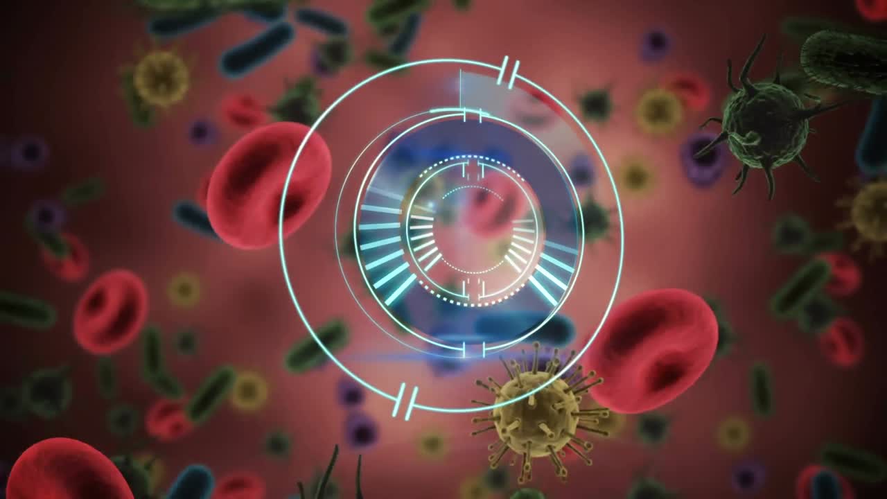 animazione di uno scanner circolare che ruota sopra il covid-19 e le cellule del sangue, in rosa