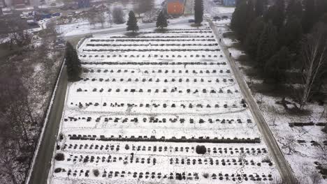 aerial view of cemetery with gravestones