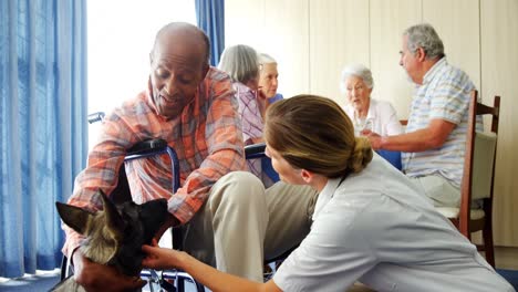 Female-doctor-and-disabled-senior-man-stroking-puppy-at-retirement-home-4k