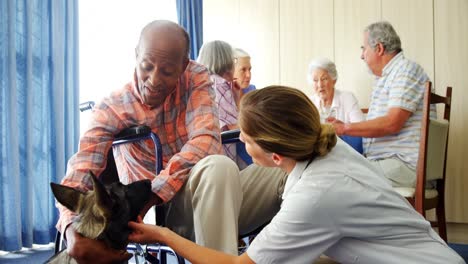 female doctor and disabled senior man stroking puppy at retirement home 4k