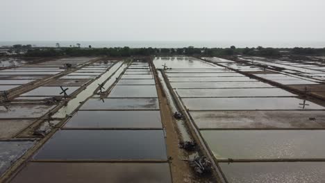 flying forward aerial drone view of the vast expanse of salt ponds at seaside area in jepara, central java, indonesia