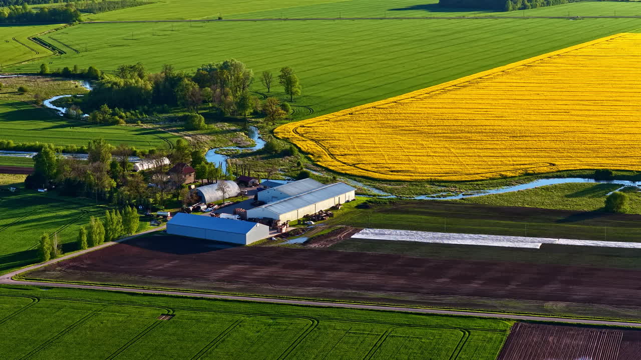 Industrial farmland agriculture field farm barn hangar countryside rapeseed vegetable oil production