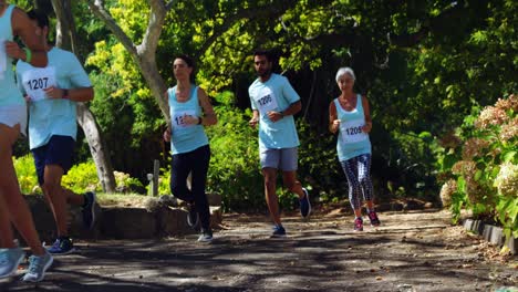 marathon athletes running in the park 4k