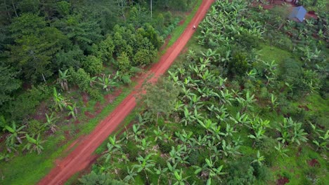 view of a cyclist on a dirt road in mukono, uganda - drone shot