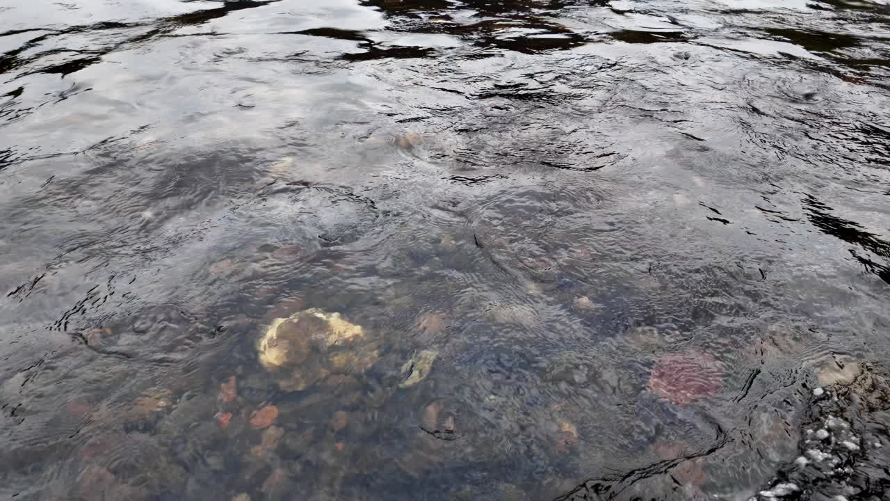 Wateroppervlak met rotsen