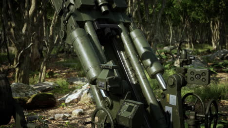 big gun cannon in the forest