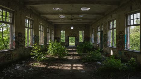 an abandoned room revealed: a forgotten space overrun by nature, echoing past memories captured in two frames, showcasing decaying beauty within walls of history