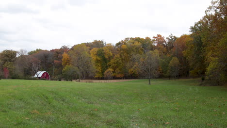 fall color trees on the edge of a field barn in the distance