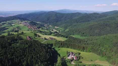 imágenes de drones de 4k filmadas en la selva negra, alemania