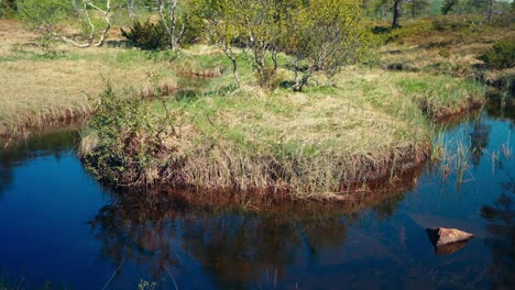 Pond-In-The-Forest-In-Indre-Fosen,-Norway---Wide-Shot