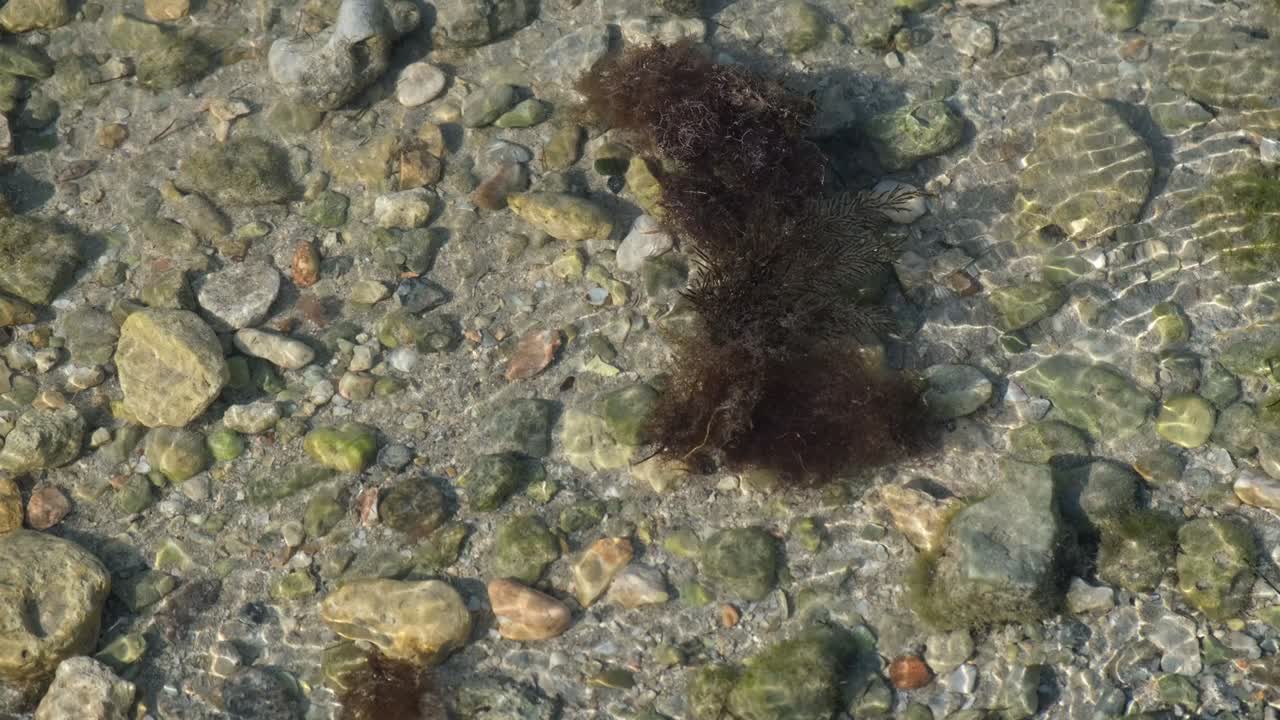 Klar vannbunn i havet