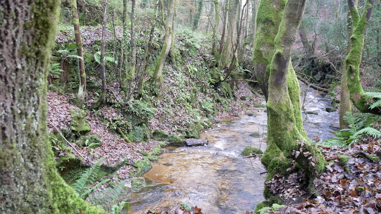 con vistas a la antigua mina de cobre rural río que fluye a través de bosques bosques desierto dolly derecho