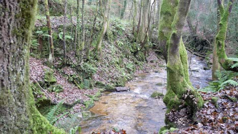 Con-Vistas-A-La-Antigua-Mina-De-Cobre-Rural-Río-Que-Fluye-A-Través-De-Bosques-Bosques-Desierto-Dolly-Derecho