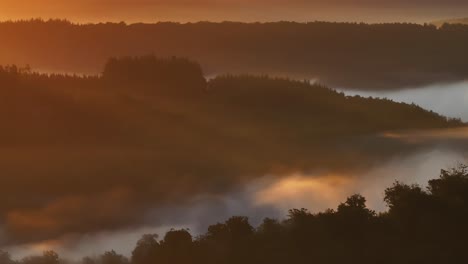 Foggy Sunrise Over Forest Hills