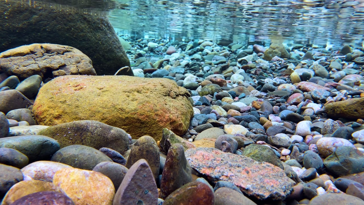 Crystal clear under water view with rocks and small fishes