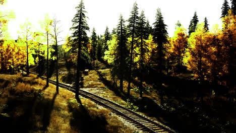 vibrant autumn forest with railway tracks winding through golden trees