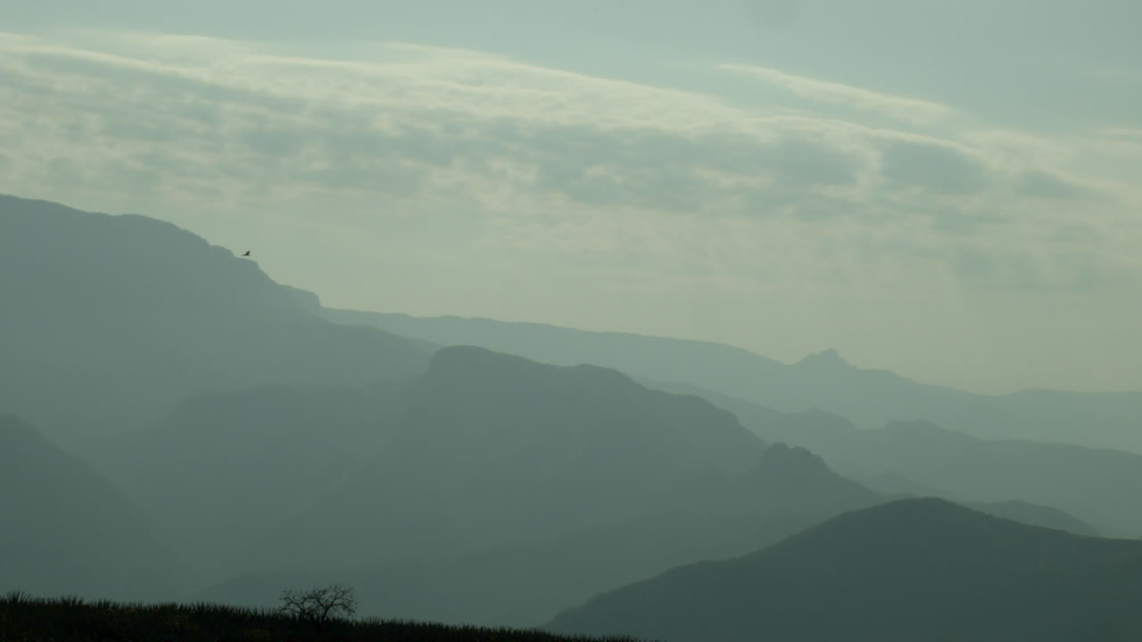 안개가 가득한 산이 있는 아름다운 계곡에서 구름 근처를 날아다니는 독수리