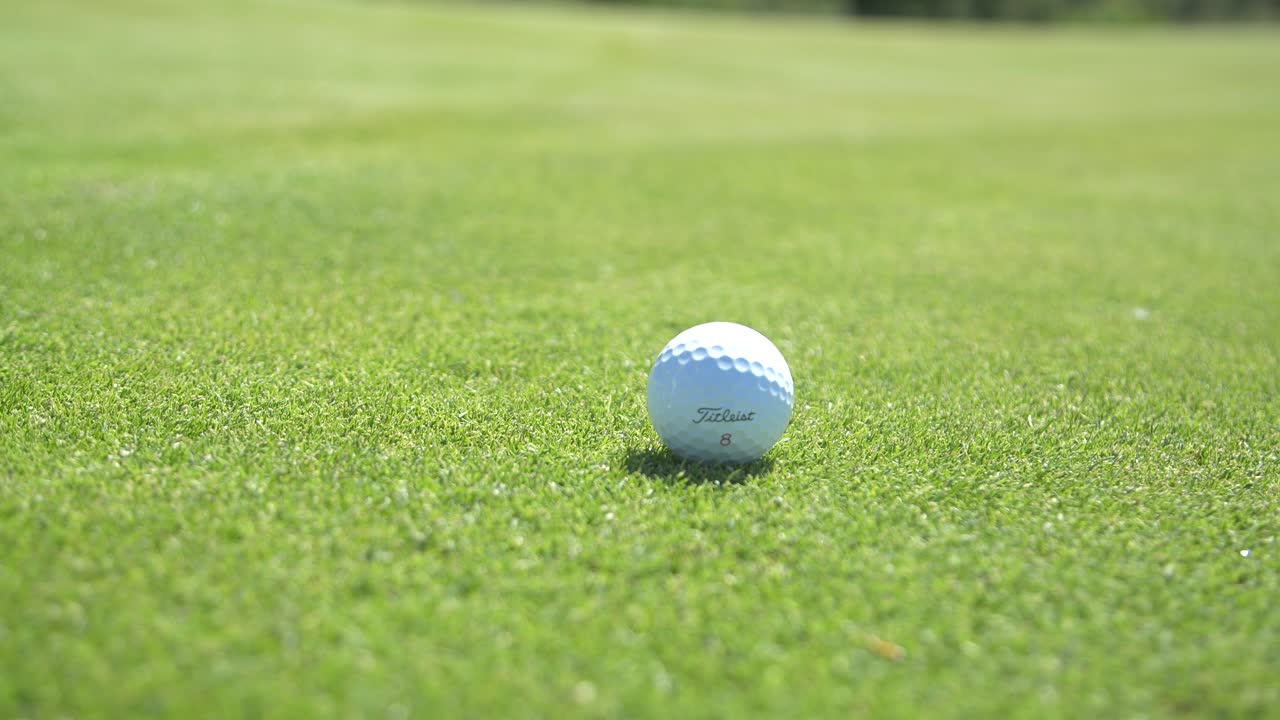 golfista colocando una pelota de golf después de quitar el marcador de monedas del green