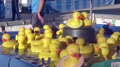 scene from the duck ring toss game at the nc state fair, 2019