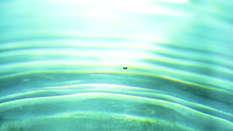 drops of water and bright splashes