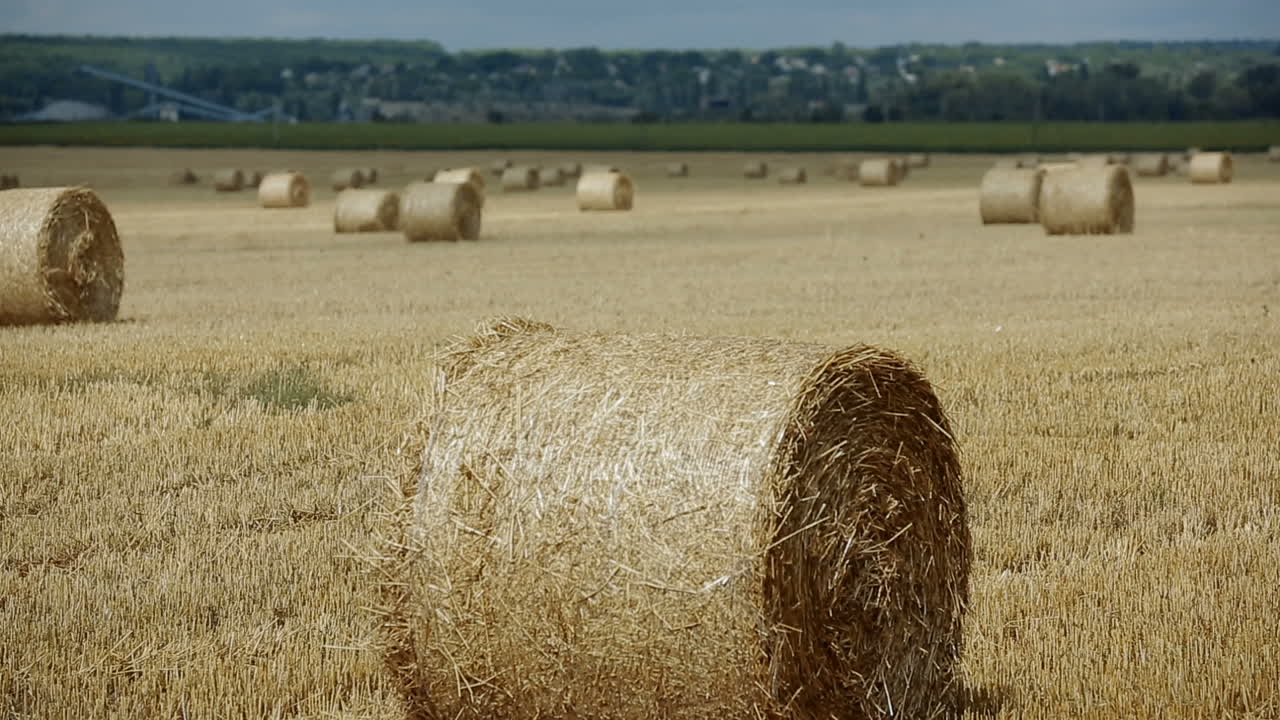 Boy Relaxing On Field. Happy child boy relaxing on summer field