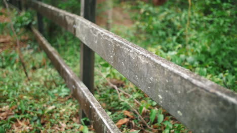 longitudinal wooden fence in a green foliage at forest during daytime