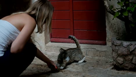 cat and her kitty lay on the street near the home with red door