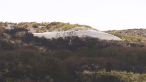 serie de disparos vacaciones de invierno ventosas en los países bajos en la isla de playa holandesa terschelling