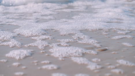 Espuma-De-Mar-Arrastrada-A-Tierra-En-La-Playa-En-Un-Día-Soleado-De-Verano