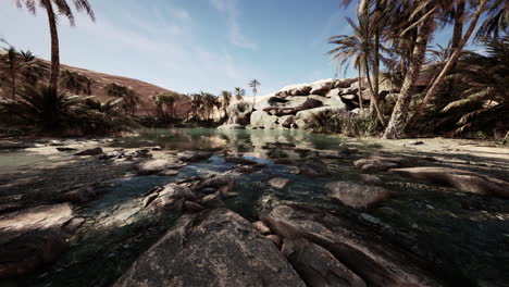 desert oasis lake pond with palm trees