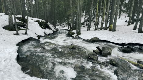 river in winter forest with snow. winter water flow flowing through rocky rapids