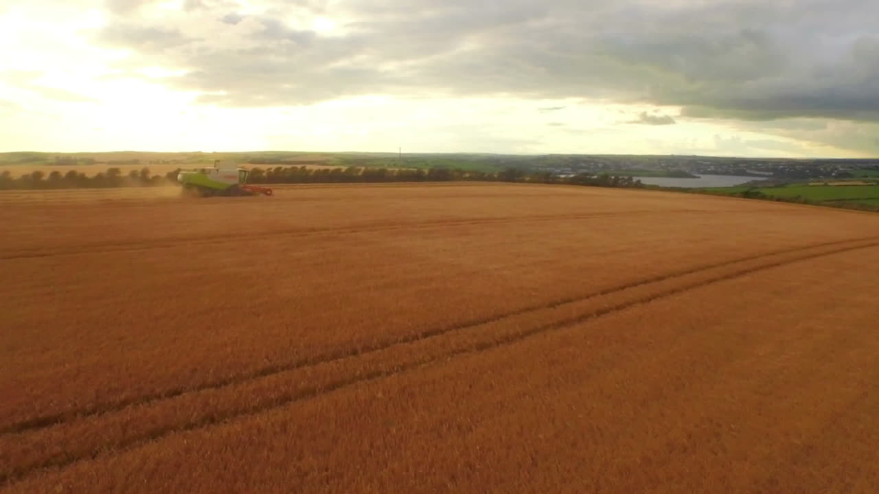Animation of combine harvester on field