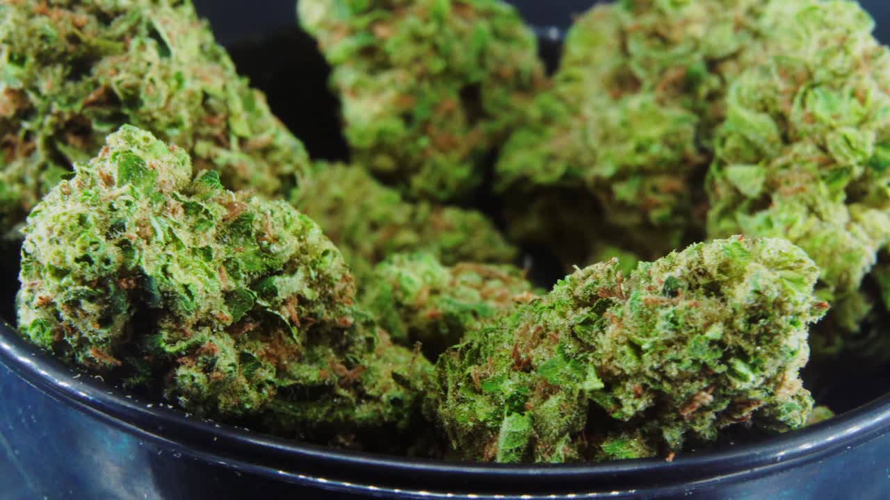Toma conceptual macro de cogollos de cannabis secos verdes en primer plano, pila de plantas de cannabis secas, variedades con tricomas naranjas, en un pequeño cuenco negro brillante, sobre un soporte giratorio, luces de estudio, cámara lenta, video 4K