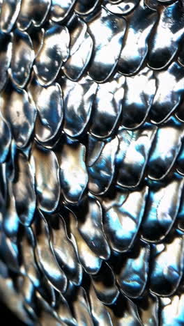 close-up of metallic scales