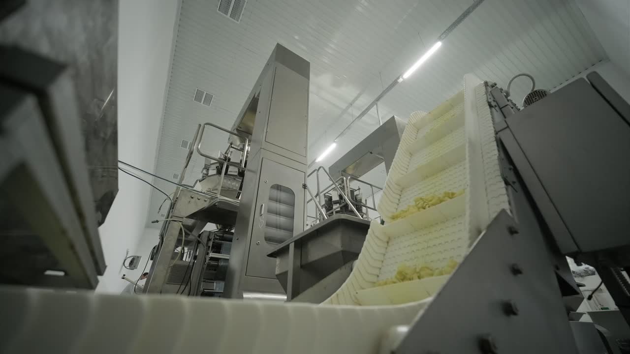 línea de producción de la fábrica mueve la pasta, bocadillos de patata. línea de fabricación de la fábrica de pasta, producción y clasificación de pasta