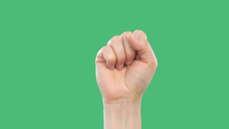 raised hand with clenched fist for protest on green screen background for alpha channel