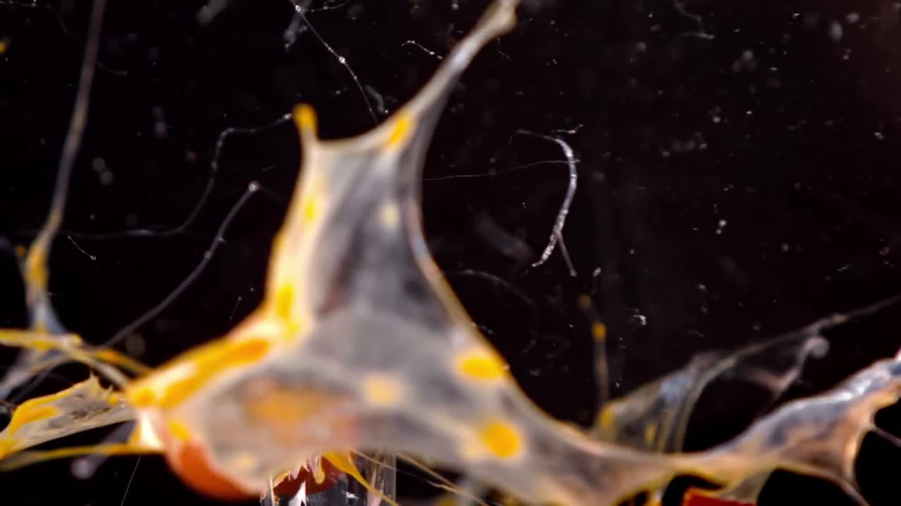 검은 바탕에 달 ⁇ 의 폭발