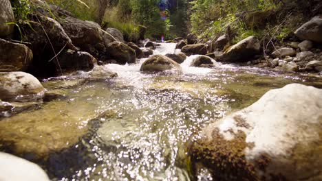 mountain stream at sunny day