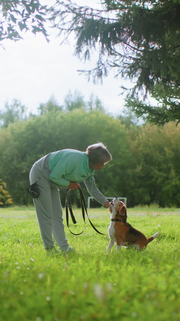 Older gentleman trains playful beagle outside, Mature man patiently educates beagle amid nature, An elderly man calmly interacts with beagle during outdoor training session beneath tree