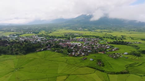 Una-Vista-Aérea-De-Los-Campos-De-Arroz-Con-Tela-De-Araña-Y-Un-Pueblo-En-Un-Paisaje-Verde