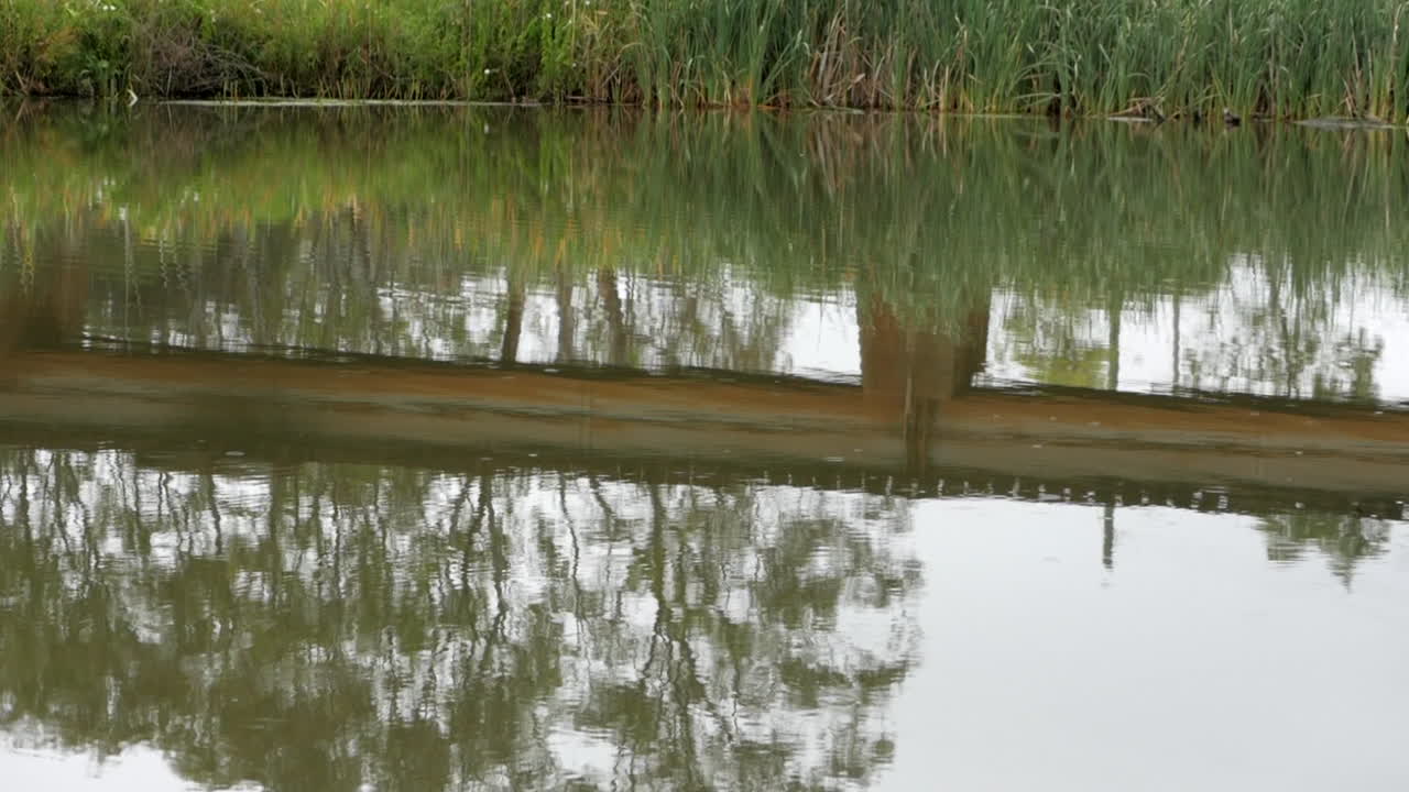 비오는 여름 강물에 고무나무와 낡은 녹슨 기차 다리가 반사되어 있다