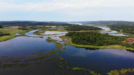 beautiful panorama drone view of the meandering wetland river landscape with forests and green fields, san ignacio, misiones, argentina